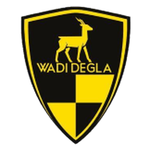 Wadi Degla SC