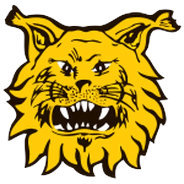 Tampereen Ilves